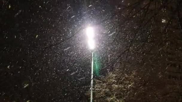 冬の夜 旧市街街の街灯で雪が降る 雪の嵐と強い風 — ストック動画