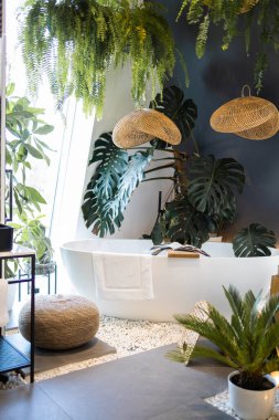 Beyaz küveti ve tropikal bitkileri olan modern banyo..