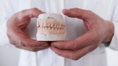 Diş teknisyeni laboratuarda takma diş yaparken alçıya bakıyor. Diş laboratuarında dişçi alçı taşı modelleri. Çıkarılabilir takma diş üretimi. Protez dişçilik.