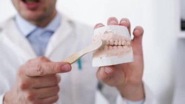 Diş hekimi hastaya diş fırçalamayı öğretiyor. İnsan çene modeli stomatolojistinin rutin kişisel hijyen kapanışını gösteren tekniği doğru olarak gösteriyor..