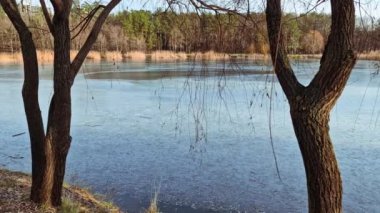 Ukrayna şehrindeki Central Park 'ın görüntüsü, soğuk bir kış gününde donmuş gölle birlikte çekildi. .