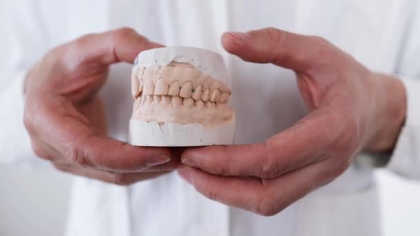 Οδοντίατρος Που Εξετάζει Γύψο Των Σιαγόνων Ενώ Κάνει Οδοντοστοιχία Στο — Αρχείο Βίντεο