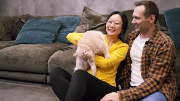 Asyalı Evli Bir Çiftin Portresi Evde Dinlenirken Sevimli Bir Kedi — Stok video