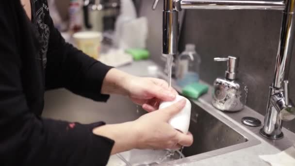 Zeitlupenvideo Von Hausfrau Benutzt Natürliches Reinigungsmittel Zum Spülen Von Geschirr — Stockvideo