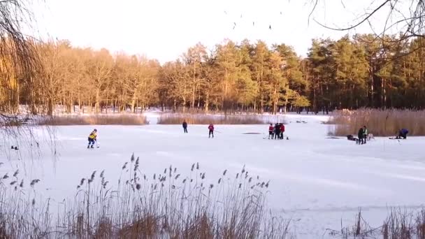 Les Hommes Jouent Hockey Amateur Dans Parc Ville Sur Lac — Video