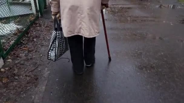 따뜻한 여성은 캐스트 날씨에 발걸음을 걸어갑니다 지팡이 건강을 신선한 움직임은 — 비디오