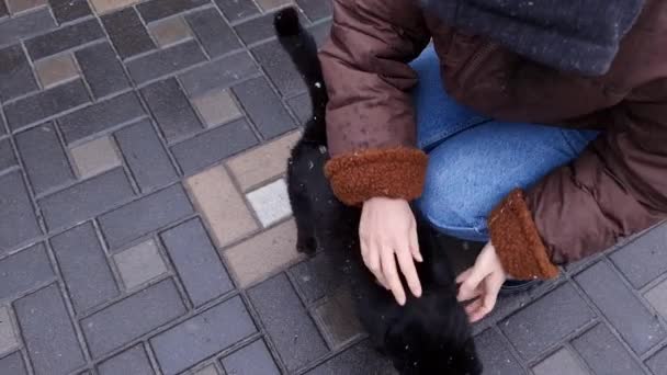 Mulher Acariciando Gato Preto Rua Sem Teto Enquanto Caminhava Inverno — Vídeo de Stock
