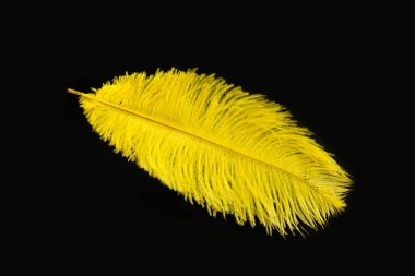 Sarı tüylü devekuşu tüyleri, metin, yumuşaklık ve zarafet konsepti için kopya alanı olan el işi kağıdının arka planına kapanır