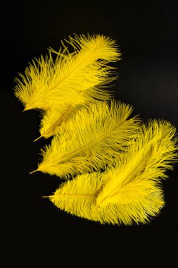 Sarı tüylü devekuşu tüyleri, metin, yumuşaklık ve zarafet konsepti için kopya alanı olan el işi kağıdının arka planına kapanır