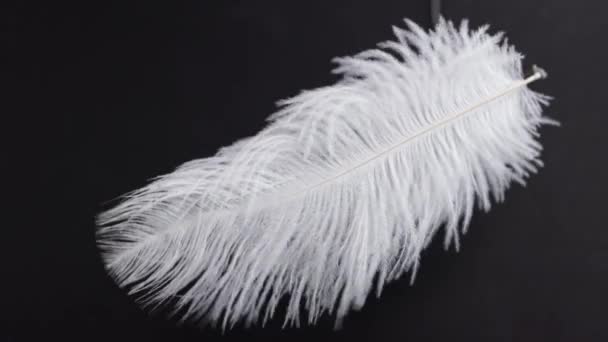 慢动作羽毛背景 靠近点黑色背景的白色绒毛 — 图库视频影像