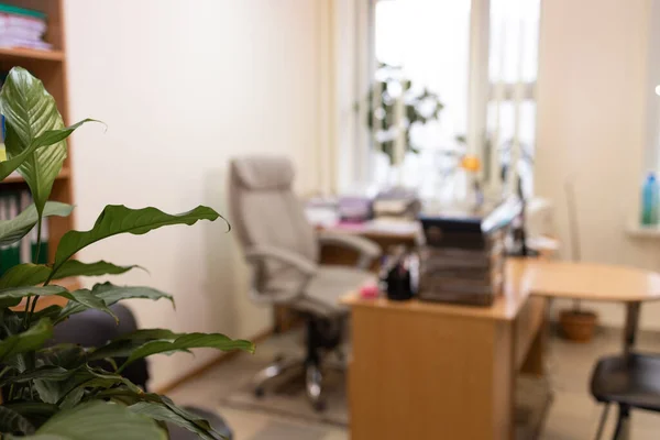 Interior of a modern office with green plants. Blurred background