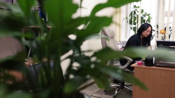 Mujer Negocios Centrada Escribiendo Portátil Moderno Interior Oficina Cerca Atractivo — Vídeo de stock