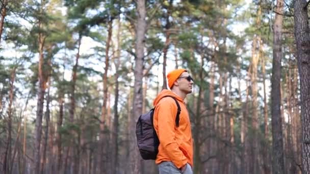 Вид Сбоку Молодого Кавказского Туриста Шляпе Идущего Лесной Дороге — стоковое видео