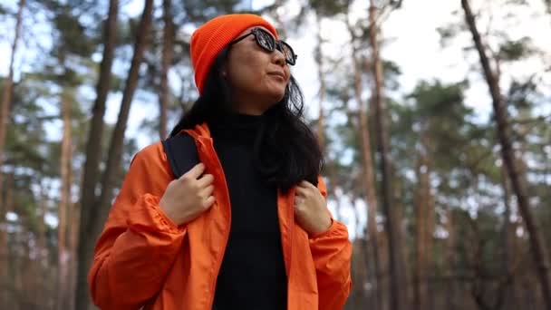 公園でハイカー 森の公園の日光を歩くバックパック付きのアジアの少女の観光客 旅行観光コンセプトの勝者成功 ハイカーは野生の公園の松の森を歩いています — ストック動画