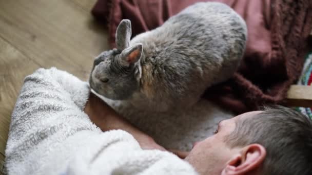 Симпатичный Домашний Кролик Играющий Овечкой Полу — стоковое видео