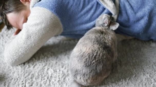 Niedliches Haustier Kaninchen Spielt Mit Ower Auf Dem Boden — Stockvideo