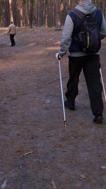 Person Walk Scandinavian Trekking Sticks Man Hold Nordic Poles Forest — Stock Video