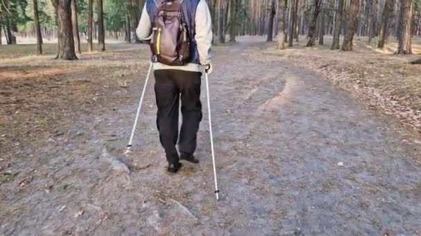 Περπατάει Σκανδιναβικά Μπαστούνια Πεζοπορίας Άνθρωπος Κατέχει Σκανδιναβικούς Πόλους Στο Πάρκο — Αρχείο Βίντεο