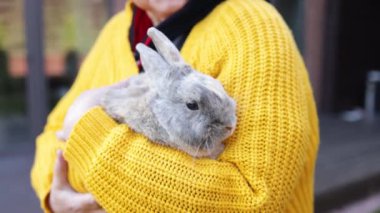 Tavşan kulaklı mutlu beyaz kadın portresi. Paskalya tavşanını tutuyor ve gülümsüyor.. 
