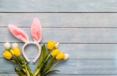 Mavi ahşap arka planda sarı laleli Paskalya tavşanı kulakları.