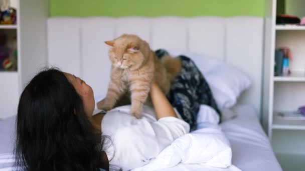 Asian Woman Holding Play Little Cat Happiness Home Attractive Female — Stock Video