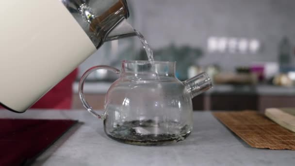 キッチンテーブルのガラスティーポットで緑茶を醸造する 新鮮なジャスミンの花でケトルに湯を注ぐ 水に花茶ジャスミンの花を作る — ストック動画