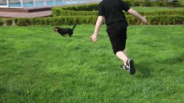 Çocuk yeşil çimenlikte küçük bir köpekle oynuyor. Mutlu çocuk arka bahçede köpeğin arkasında koşar. Aile aktiviteleri. Neşeli bir çocukluk. Mutluluk anları. Ev atmosferi.