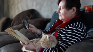 Yalnız, yaşlı bir kadın elinde kızıl kediyle koltukta oturur ve evde kitap okur. Kapat..