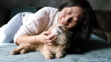Oturma odasındaki kanepede kedi besleyen kadın. Asyalı bir bayan kedi yavrusunu yakından okşuyor. Tüylü soylu hayvan rahatlıyor ve mırıldıyor. Küçük kankalar. Mutlu evcil hayvanlar evde.
