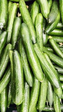 Yeşil salatalık süpermarkette rafta. Organik yemek. Tarım perakendeci. Çiftçinin gıda.