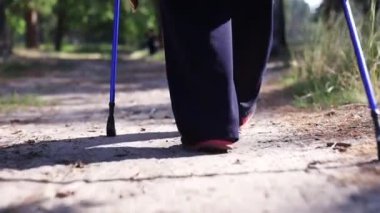 Yaşlı Yürüyüşçü, Ormanda İskandinav Yürüyüşü pratiği yapıyor. Ormanda Yürüyen Yapraklar. Yürüyüş Yürüyüşü Spor Faaliyetleri. İskandinav Yürüyüşü Tahtadaki Çubuklar. Yaz Macerası Yürüyüşü. Spor Eğlencesi Ekranı