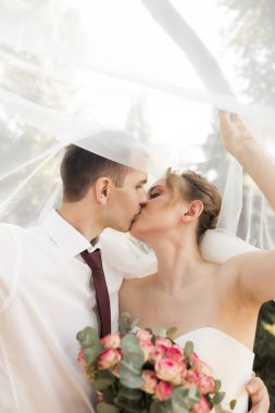 Gelin ve damat parkta öpüşüyor. Yeşil ormanda yeni evliler öpüşüyor, fotoğraf çektiriyorlar. Doğada düğün çifti.