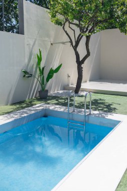 Plastik duvar, havuz suyu ve palmiye gölgesi olan tropik yaz arkaplanı. Lüks otel tatil beldesi havuz kenarı modelleme şablonu. Tarafsız mimari estetik sahil tatil evi.