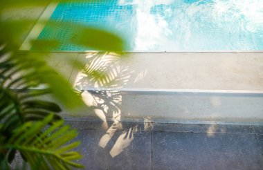 Fotokopi alanı, havuz suyu ve yeşil bitkileri olan tropik yaz ortamı. Lüks otel tatil beldesi havuz kenarı modelleme şablonu. Tarafsız mimari estetik sahil tatil evi.