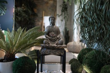 Hayat konsepti. Gautama Buddha heykelinin yakınındaki ahşap zeminde duran yeşil ev bitkisinin meditasyon pozu. Modern iç tasarımı olan minimalist odada Zen Budist figürü