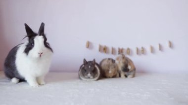 Anneleri masada olan şirin Paskalya tavşanları. Paskalya tatili konsepti.