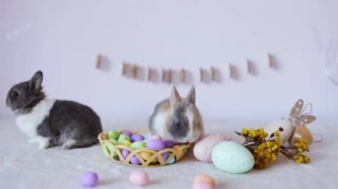 Masada renkli yumurtaları ve çiçekleri olan şirin bir Paskalya tavşanı. Paskalya tatili konsepti.