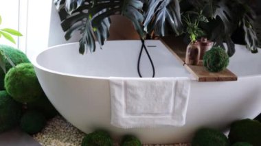 Bath in modern beauty salon, luxury bathroom interior in spa with vertical garden. Green plants wall, flowers and bathtub in hotel. Concept of nature, landscaping, water, wellness, room.