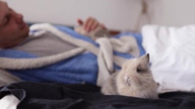 Yatakta sevimli bir tavşan tutan bir adam. Ev hayvanı. Hayvanlara sevgiler. Hayvan bakımı.