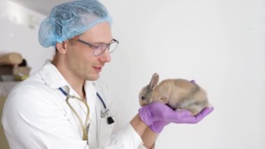 Profesyonel veteriner, klinikte steteskop muayenesi yapan beyaz tavşanı kullanarak eldiven giyer. Veteriner hayvanlı hasta tavşan ve sağlık hizmetleri konseptini kontrol et..