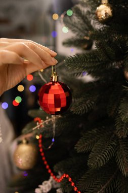 Kış tatili konsepti. Yeşil köknar ağacını kırmızı top süslemeleriyle süsleyen kadın elleri.