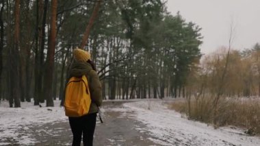 Karlı bir kış günü ormanda, sırt çantalı, karlı, taze, beyaz bir karla yürüyen bir kadın. Kış tatilindeki kadın turist. 