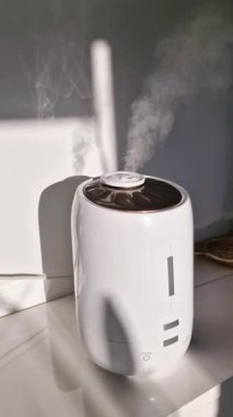 Nemlendirici oturma odasında sağlıklı nem seviyeleri sağlıyor. Ultrasonik nemlendiriciden havaya karışan ince sis buharı. Sağlık konsepti dikey video.