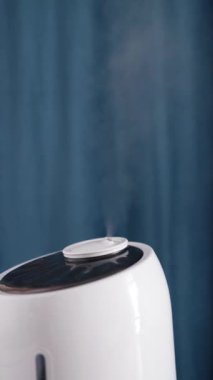 Oturma odasında modern nemlendirici var. Nemi kontrol etmek için nemlendiriciler kullanıldı..