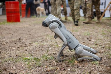 Ukrayna askerleriyle tatbikatta robot bir köpek..