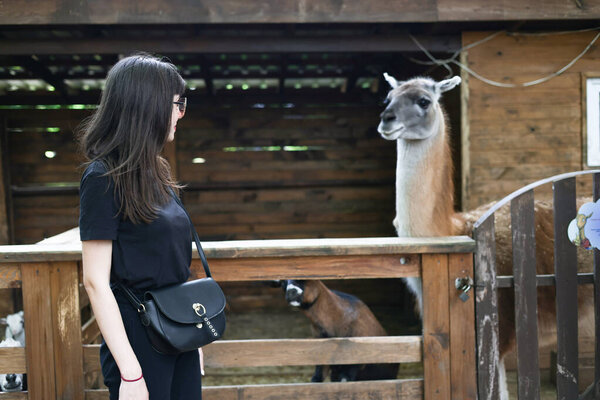 Funny cute woman with llama. Girl with llama at the zoo.
