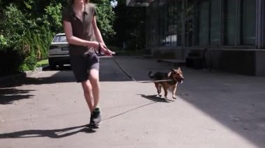 Çocuk güneşli bir günde yaz parkında köpeğiyle oynuyor. İnsan hayvan dostluğu.