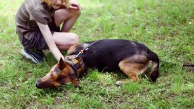 Çocuk güneşli bir günde yaz parkında köpeğiyle oynuyor. İnsan hayvan dostluğu.