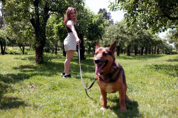 Köpeğiyle oynayan bir kadın. Güneşli bir günde yaz parkında sevimli köpeğiyle yürüyen genç bir kız. İnsan hayvan dostluğu.