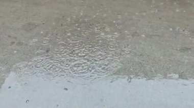 Sel, yağmur mevsimi ve şiddetli yağmurdur. Yakın çekim yağmur damlaları. Yaz veya sonbahar yağmur damlaları şehirdeki asfalta düşer ve büyük bir su birikintisine dönüşür, sokakları sel basar..